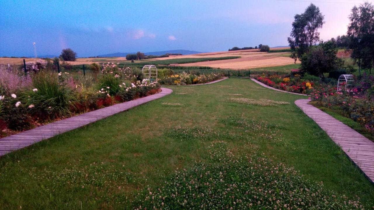 Cztery Pory Roku Z Lazienkami Do Wynajecia Osiek (Lesser Poland)